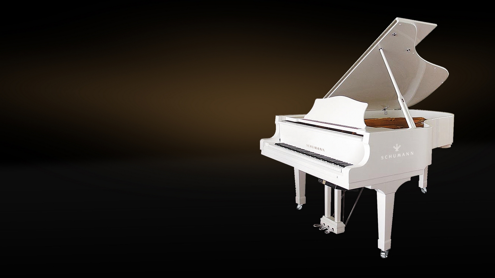 Il pianoforte è in grado di comunicare le più sottili verità universali attraverso il legno, il metallo e l'aria vibrante